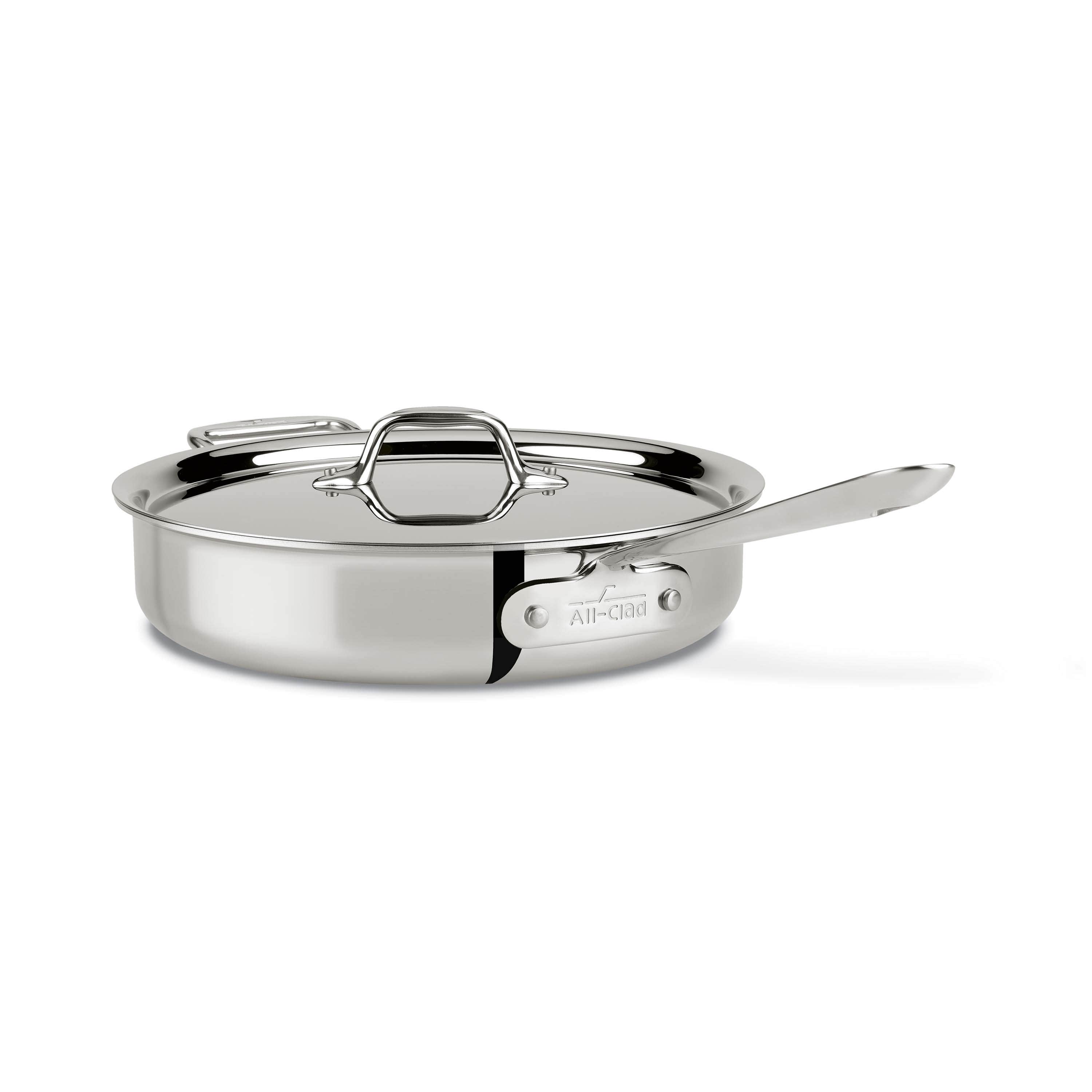 stainless steel pan - best pans for cooking fish