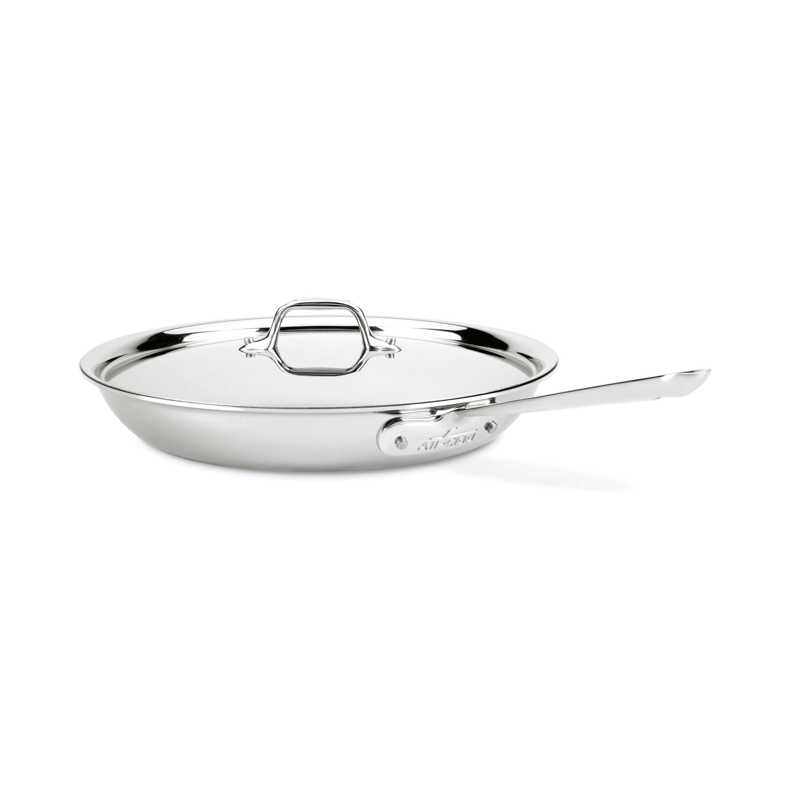 stainless steel pan - best pans for cooking fish